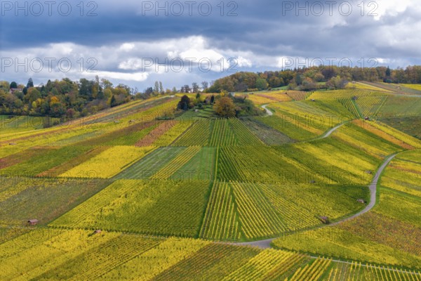 Detailed landscape view of vineyards with autumnal yellow and green shades under clouds, near