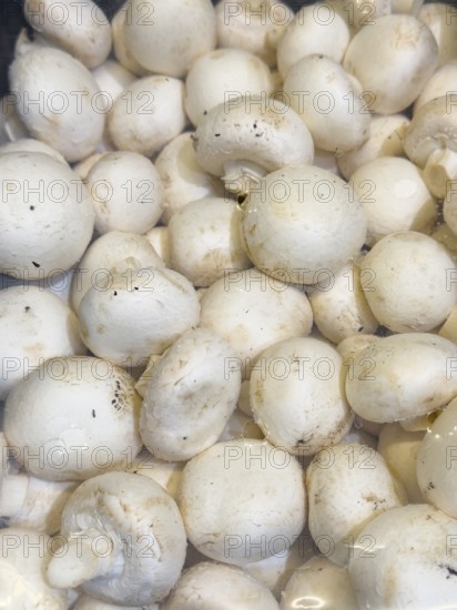 Fresh mushrooms in bowl with cling film with small air holes on display from retailer grocery