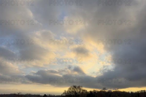 Sky over forest edge at dusk in the middle of clouds Cumulus fractus right and below gray