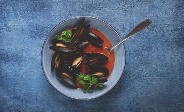 Fra Diavolo mussels, mussels in tomato sauce, Italian dish, on a blue background, homemade, no
