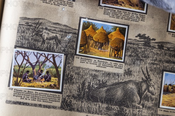 German colonies. German Southwest Africa. Obambo An anthology published by Cigaretten-Bilderdienst