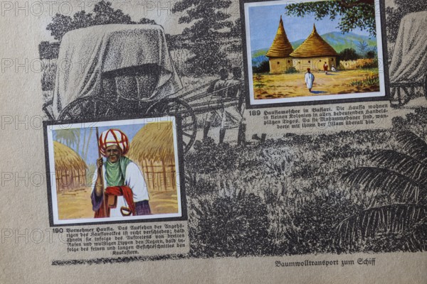 German colonies. Togo. Noble Hausa. The image text says that the appearance is quite different.