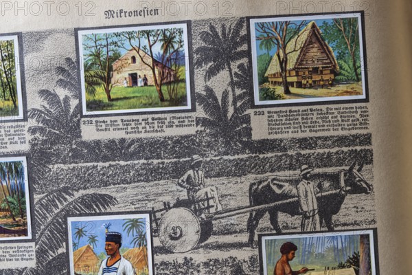 German colonies. Micronesia. An anthology published by Cigaretten-Bilderdienst Dresden from 1936.