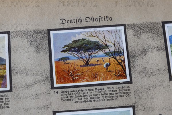German colonies. German East Africa. Ugogo steppe landscape. An anthology published by