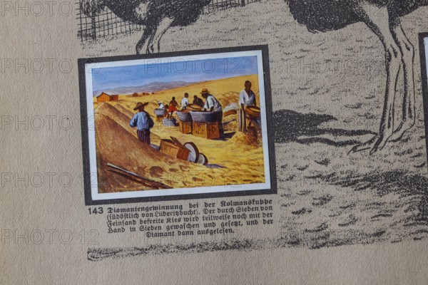 German colonies. German Southwest Africa. Diamond mining at Kolmanskuppe. An anthology published by