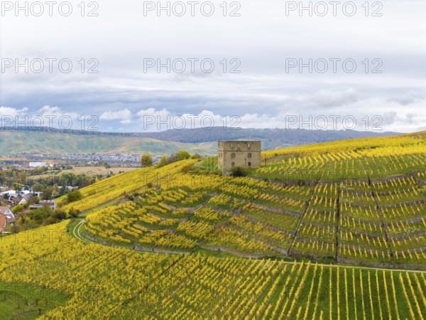 Autumn vineyards with converging yellow fields and an old building surrounded by rolling hills,