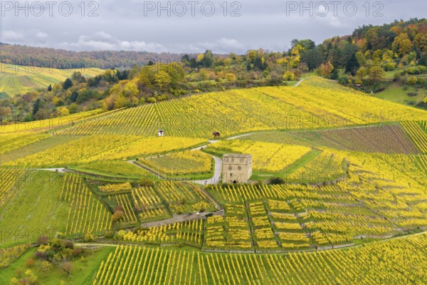 Yellow autumn vineyards with a centrally located historic building and rolling hills under cloudy