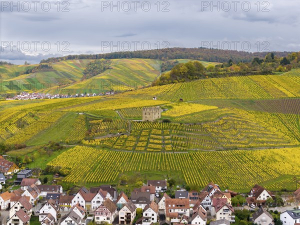 Colourful steep vineyards in autumn with yellow fields and residential buildings in a hilly
