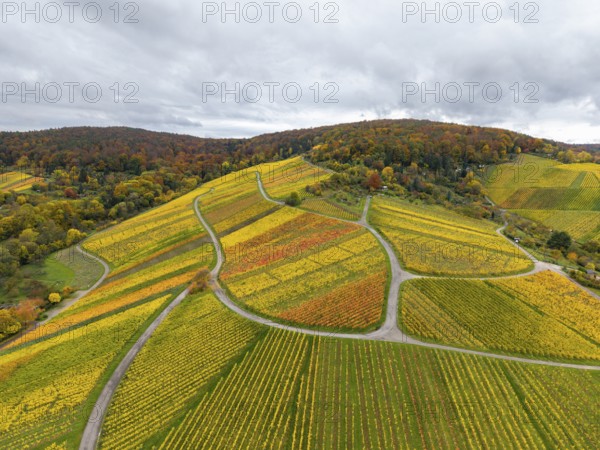 Hilly vineyards in bright autumn colors under cloudy skies, near Stetten im Remstal,