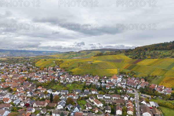 A village surrounded by extensive vineyards in autumn colors under a cloudy sky, Stetten im