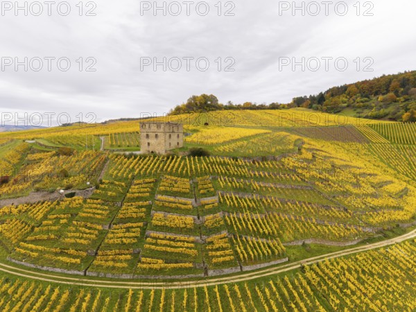 Single tower above yellow, autumnal vineyards on rolling hills under grey skies, Y-Burg, Stetten im