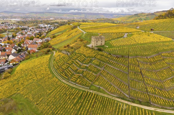 Vineyards in rich yellow with a secluded building and village on the hills under a covered sky,