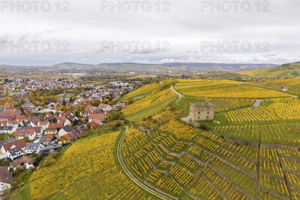 Vineyards in autumn colors with a small village in the background under cloudy sky, Y-Burg, Stetten