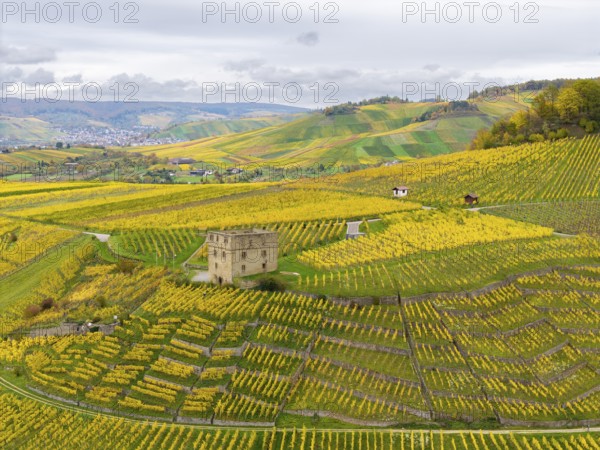 A tower surrounded by extensive yellow-green vineyards under cloudy sky, Y-Burg, Stetten im