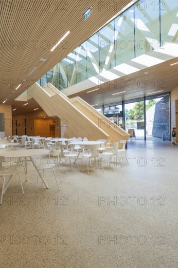 Spacious, modern atrium with wooden paneling and glass roof, furnished with white minimalist