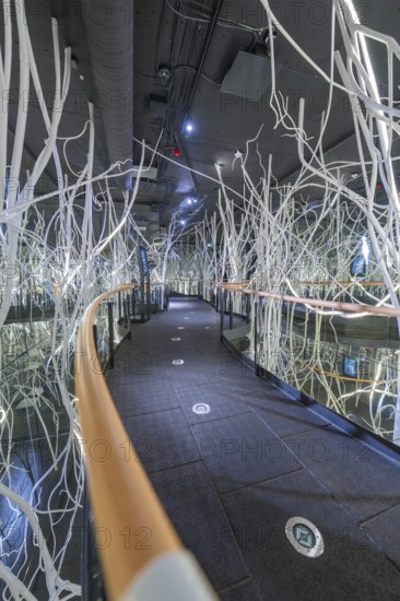 Futuristic space with glass walls and white abstract branches that create a modern, technical