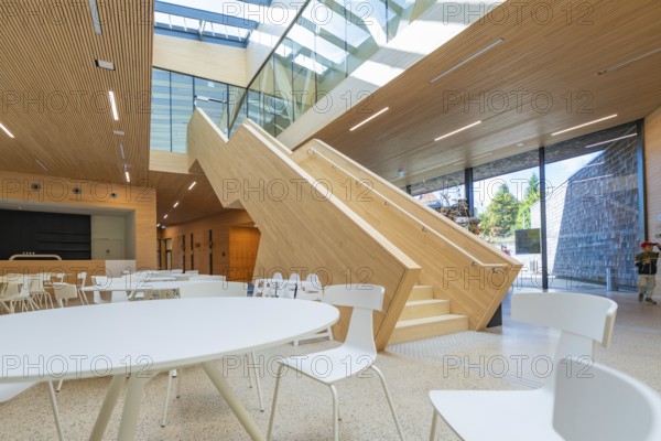 Modern building with large wooden staircase and lots of daylight, Ruhestein National Park Center,
