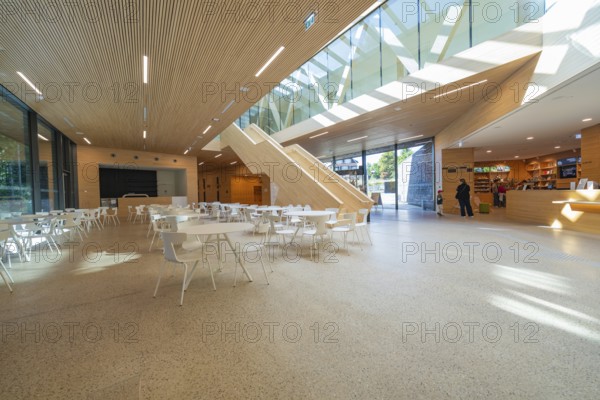 Bright interior with wood and glass elements, modern design with cafeteria, Ruhestein National Park