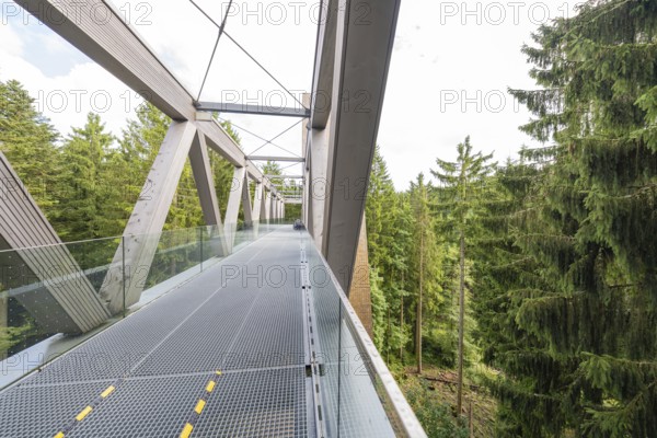 Architecturally impressive metal and wood bridge with glass railing against a wooded background,