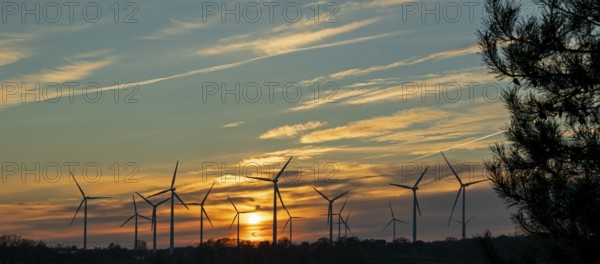 Sunset, wind turbines, sunset, tree, silhouettes, Südergellersen, Samtgemeinde Gellersen, Lower
