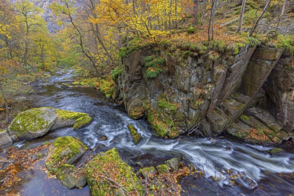 River Bode running through forest showing autumn colours, fall colors at Nature reserve Bode Valley