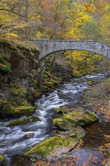 Jungfern Bridge, Jungfernbrücke, 20th century stone footbridge, pedestrian bridge over the Bode