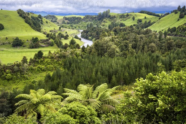 New Zealand landscape. View of the Whanganui River valley from Piriaka Lookout. Piriaka, Ruapehu