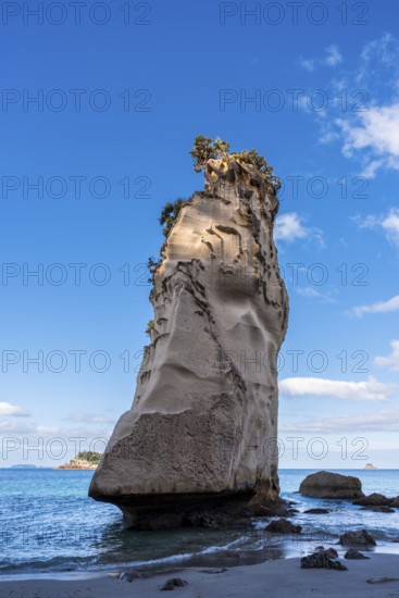 Limestone cliffs near Cathedral Cove in New Zealand. Cathedral Cove, Hahei, Coromandel Peninsula,