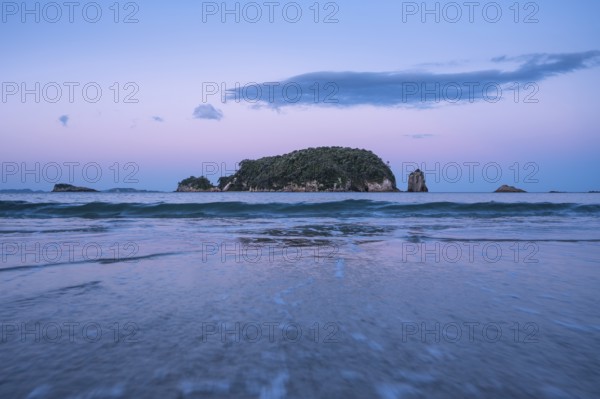 Landscape with sea, rocks and sandy beach in New Zealand. Hahei Beach in the evening after sunset