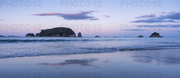 Landscape with sea and sandy beach in New Zealand. Hahei Beach in the evening at sunset with