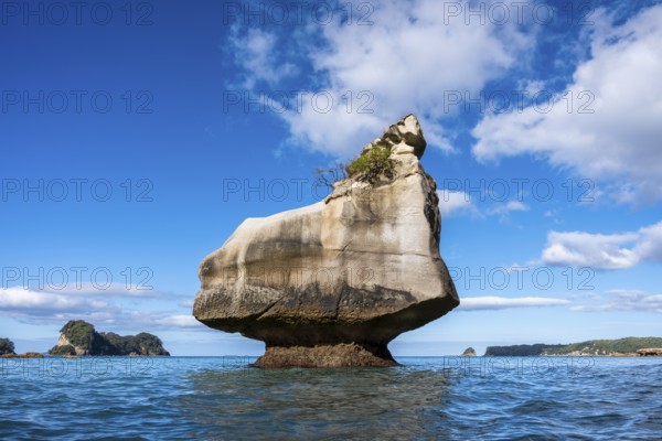 Cathedral Cove in New Zealand. Sea, sandy beach and limestone cliffs. The Smiling Sphinx rock.