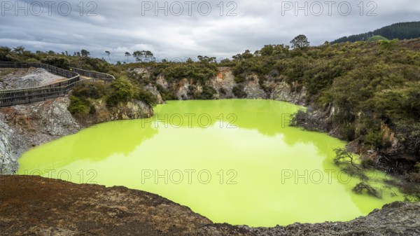 Roto Karikitea, a crater in the Waiotapu (Wai-O-Tapu) geothermal area, filled with green water from
