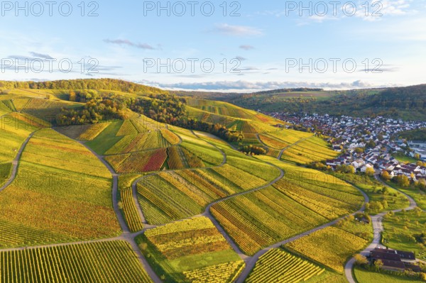 Panorama of colorful vineyards and a neighboring settlement in autumn, autumn, near Strümpfelbach