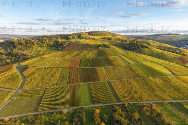 Vineyards in a hilly, colorful landscape in autumn, near Strümpfelbach im Remstal,