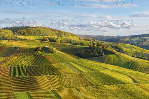 Vineyards and hilly landscape in autumn colors, autumn, near Strümpfelbach im Remstal,