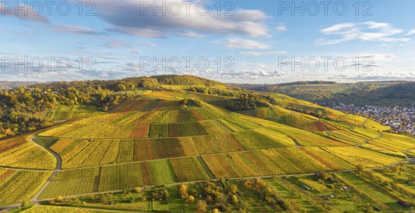 Extensive landscape with colorful vineyards under blue sky, autumn, near Strümpfelbach im Remstal,