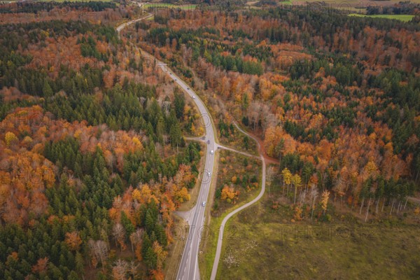 Winding road through dense autumn forest with colorful leaves, new Lindenrain industrial park,