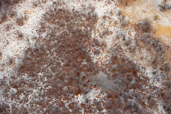Arid savanna landscape, near Maun, aerial view, Okavango Delta, Botswana