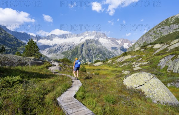 Female mountaineer on wooden plank path through mountain moor, in front of picturesque mountain