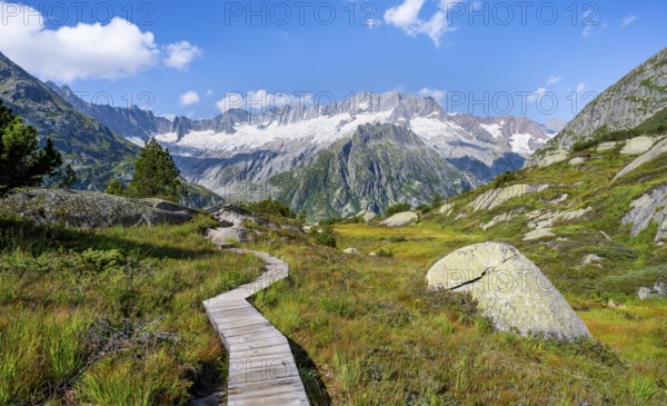 Wooden plank trail through mountain moor, in front of picturesque mountain scenery, Dammastock and