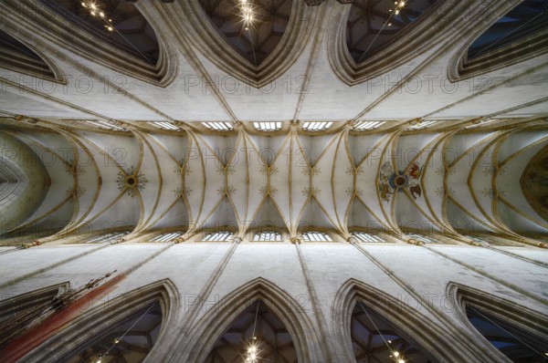 Interior photo, vaulted ceiling, church ceiling, central nave, interior view, Cathedral of Our Lady