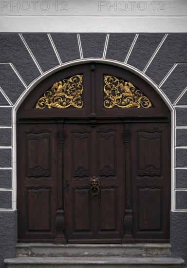 Portal, ornaments, door knob, knocker, historic Leube house, Leube house, old town, Ulm,