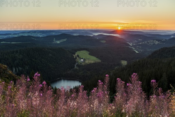 View from Feldberg to Feldsee looking east, sunrise, Black Forest, Southern Black Forest,