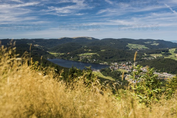 Titisee, Black Forest, Southern Black Forest, Baden-Württemberg, Germany