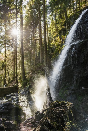 Zweribach Waterfalls, protected forest, St Märgen, Black Forest, Southern Black Forest,