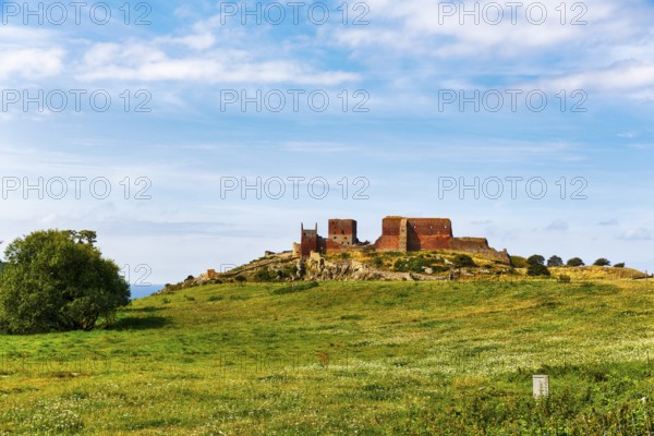 Ruins of Hammershus Fortress, medieval castle ruins on a cliff, tourist attraction, Baltic Sea on