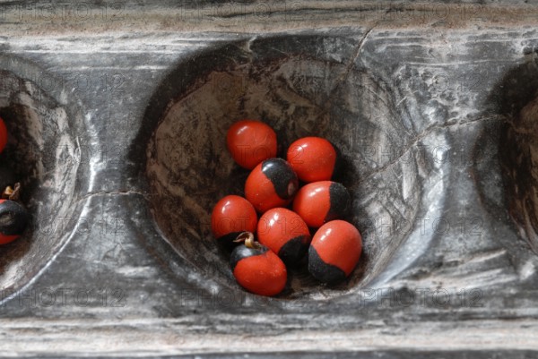 Traditional wooden game Pallankujhi, Pallamkuzhi, Pallangulli, Pallankulli or Alagulimane with red