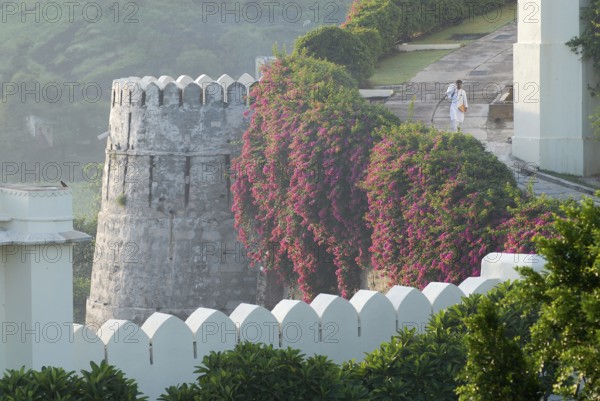 Hotel worker next to bougainvillea covered defensive defence tower in morning light, Devigarh