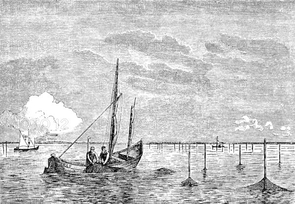 Fishermen collecting nets in East and West Prussia, fishing boats, fishing, profession, net