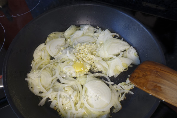 Southern German cuisine, preparation, sauté onions in a pan, stove, ceramic hob, frying fat, minced